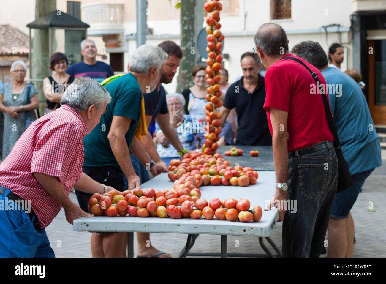 MARIA DE LA SALUT, MALLORCA, Spagna - 10 agosto 2018: persone pomodori legatura insieme per formare i grappoli pendenti durante il pomodoro 'Ramellet' Notte fiera ho Foto Stock