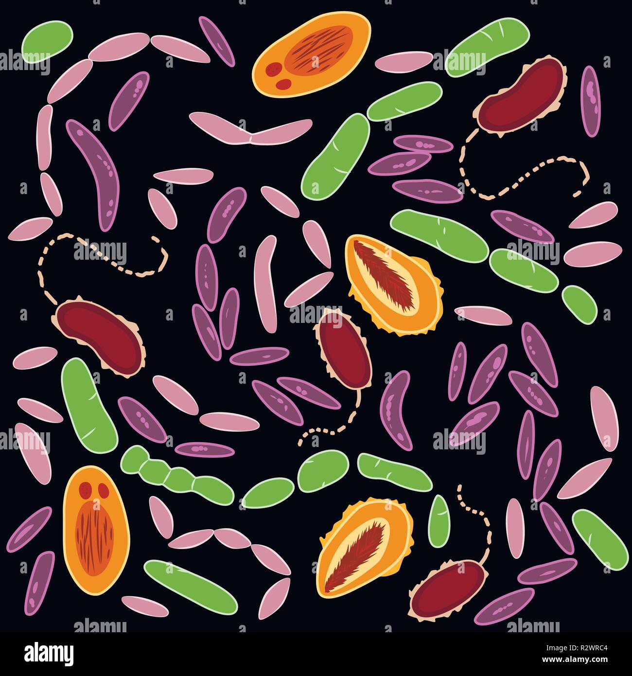Set di diversi tipi di batteri di umana microbiome su sfondo nero, vettore Illustrazione Vettoriale