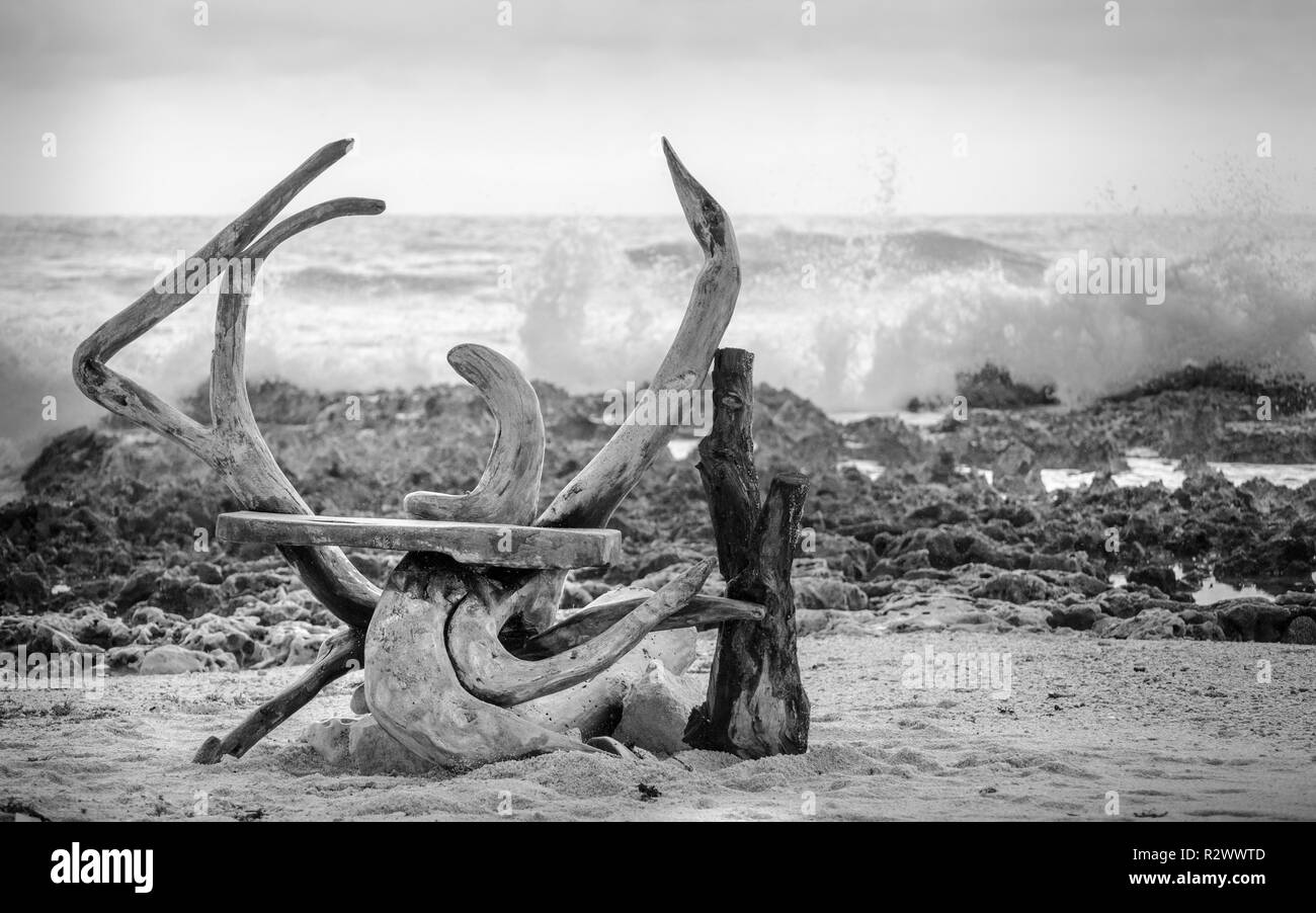 Furbo spiaggia in riva al mare Foto Stock