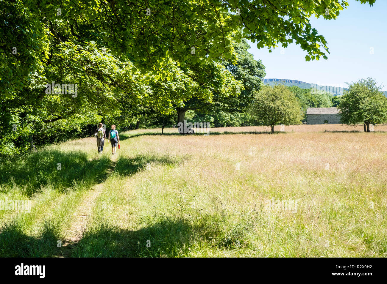 Walkers nella campagna britannica. Due donne a piedi attraverso un campo durante l'estate, Derbyshire, England, Regno Unito Foto Stock
