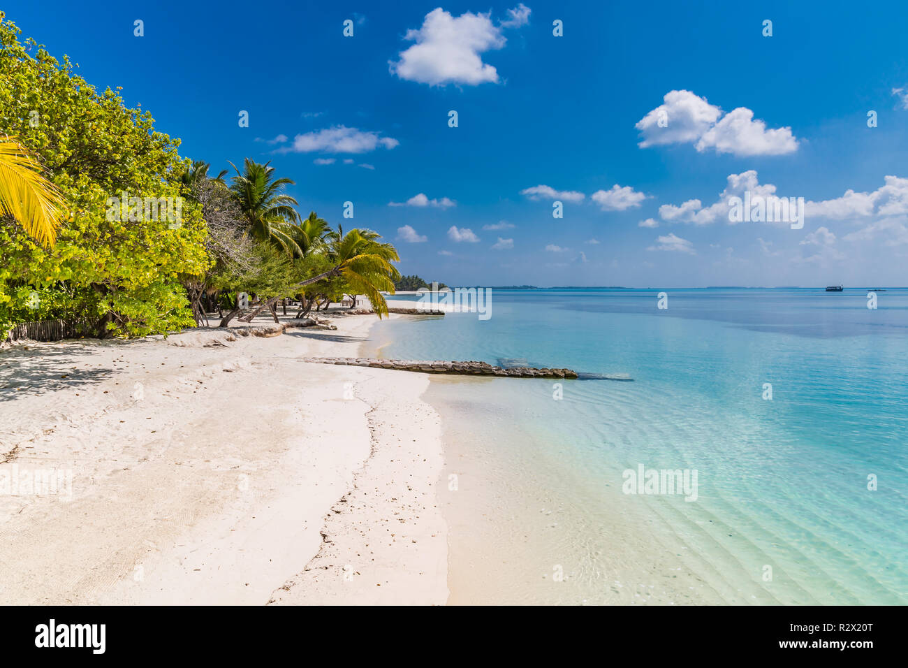 Paesaggio tropicale spiaggia, vibrazioni estive, vacanza e sfondo di viaggio. Paesaggi esotici, natura incredibile, palme su onde blu turchesi del mare Foto Stock