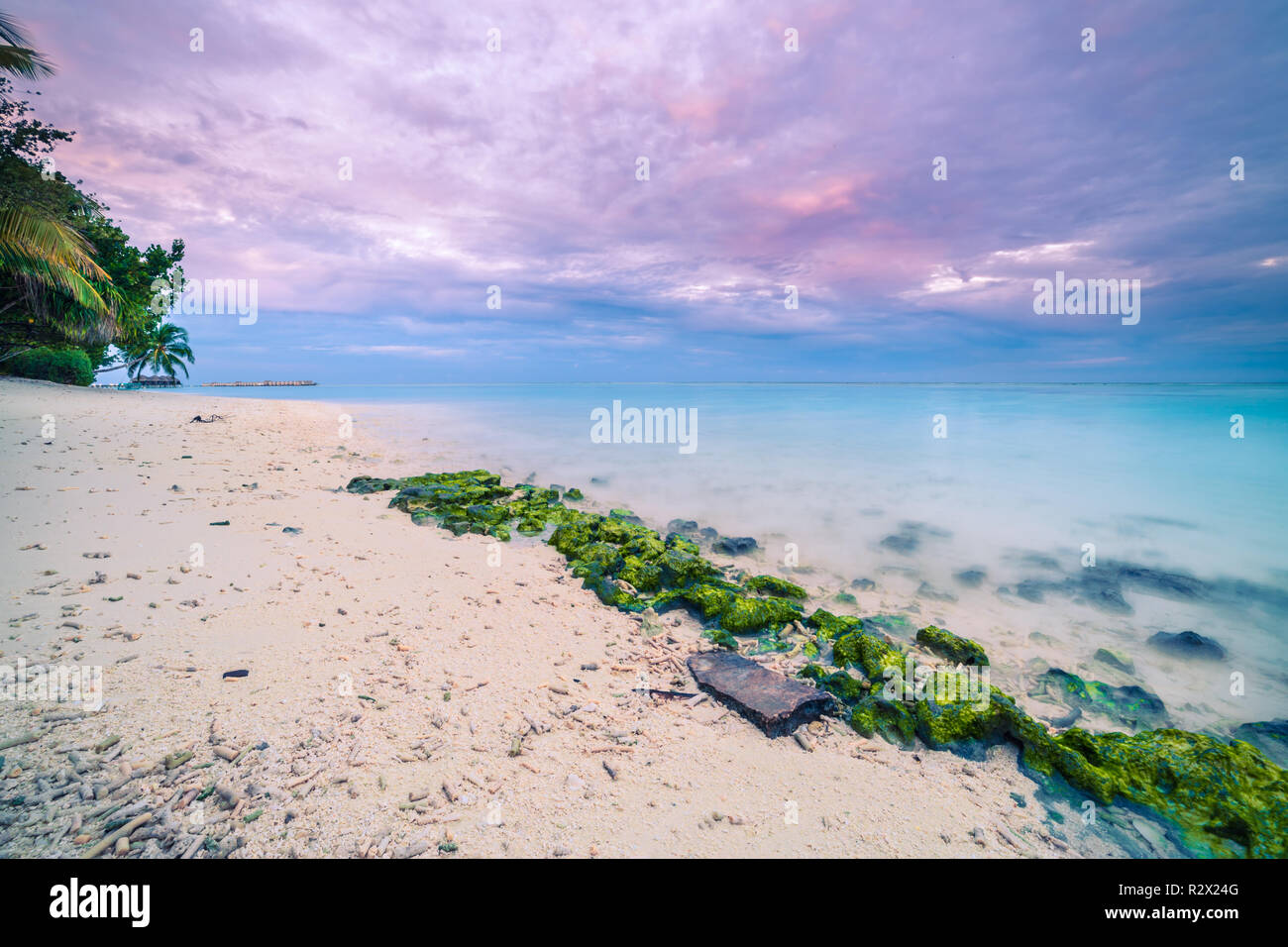 Spiaggia tropicale al tramonto sfondo natura. Muschio su rocce con cielo colorato stupefacente. Lungo mare di esposizione con costa spiaggia Foto Stock