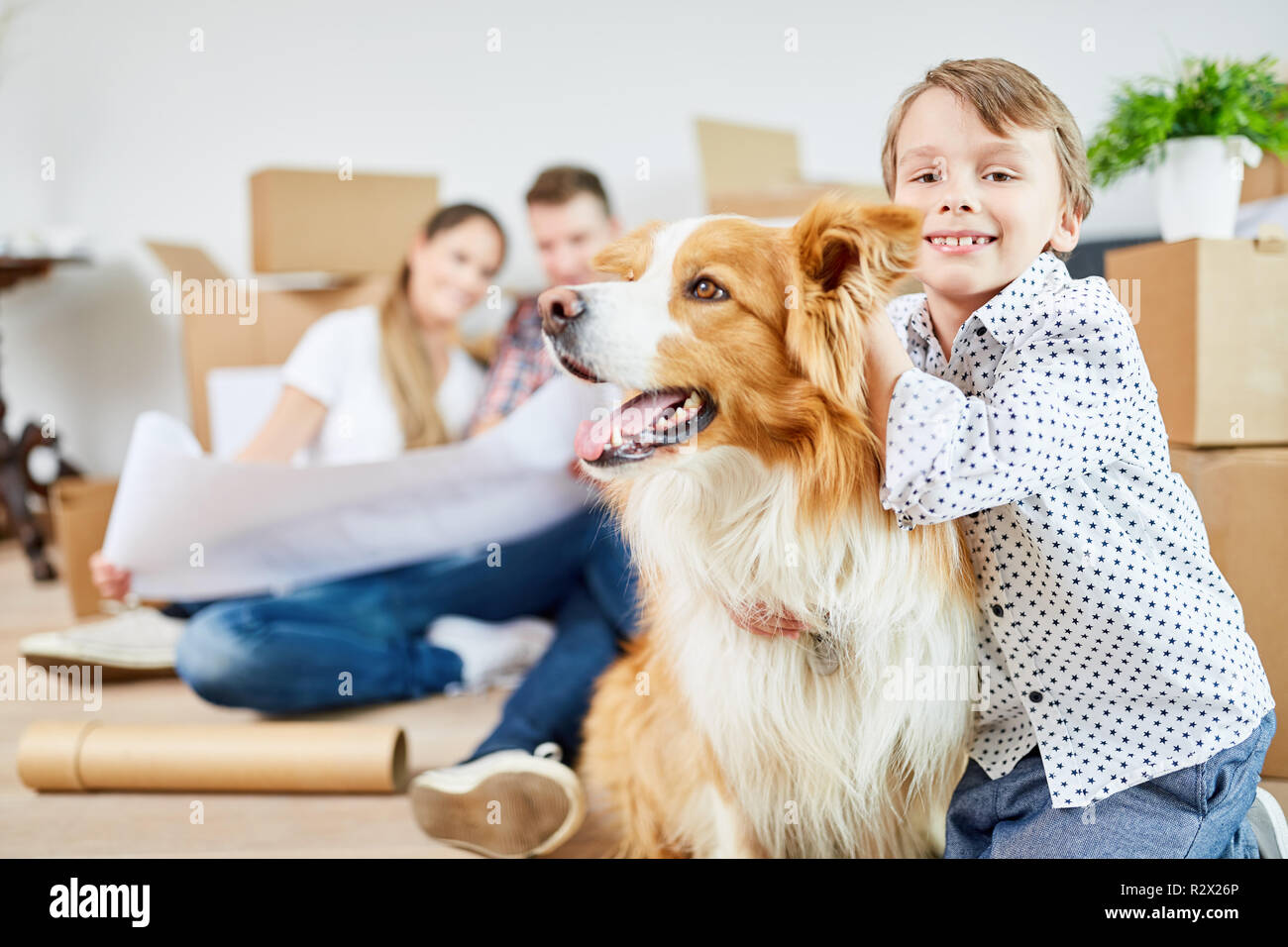 Ragazzo e cane come migliore amico quando ci si trasferisce in una nuova casa Foto Stock