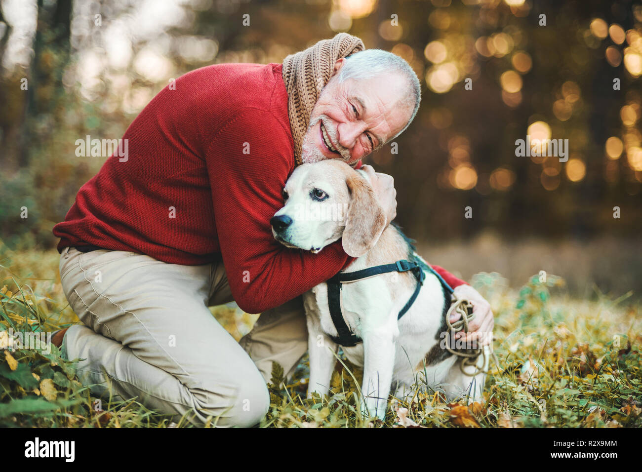 Un uomo anziano con un cane in un autunno natura al tramonto. Foto Stock
