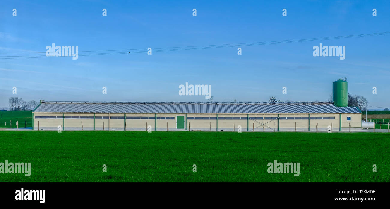 Vista laterale di una fattoria di pollo con un serbatoio di gas e un pollo silo di alimentazione serbatoio nella Mayenne campagna, Francia Foto Stock