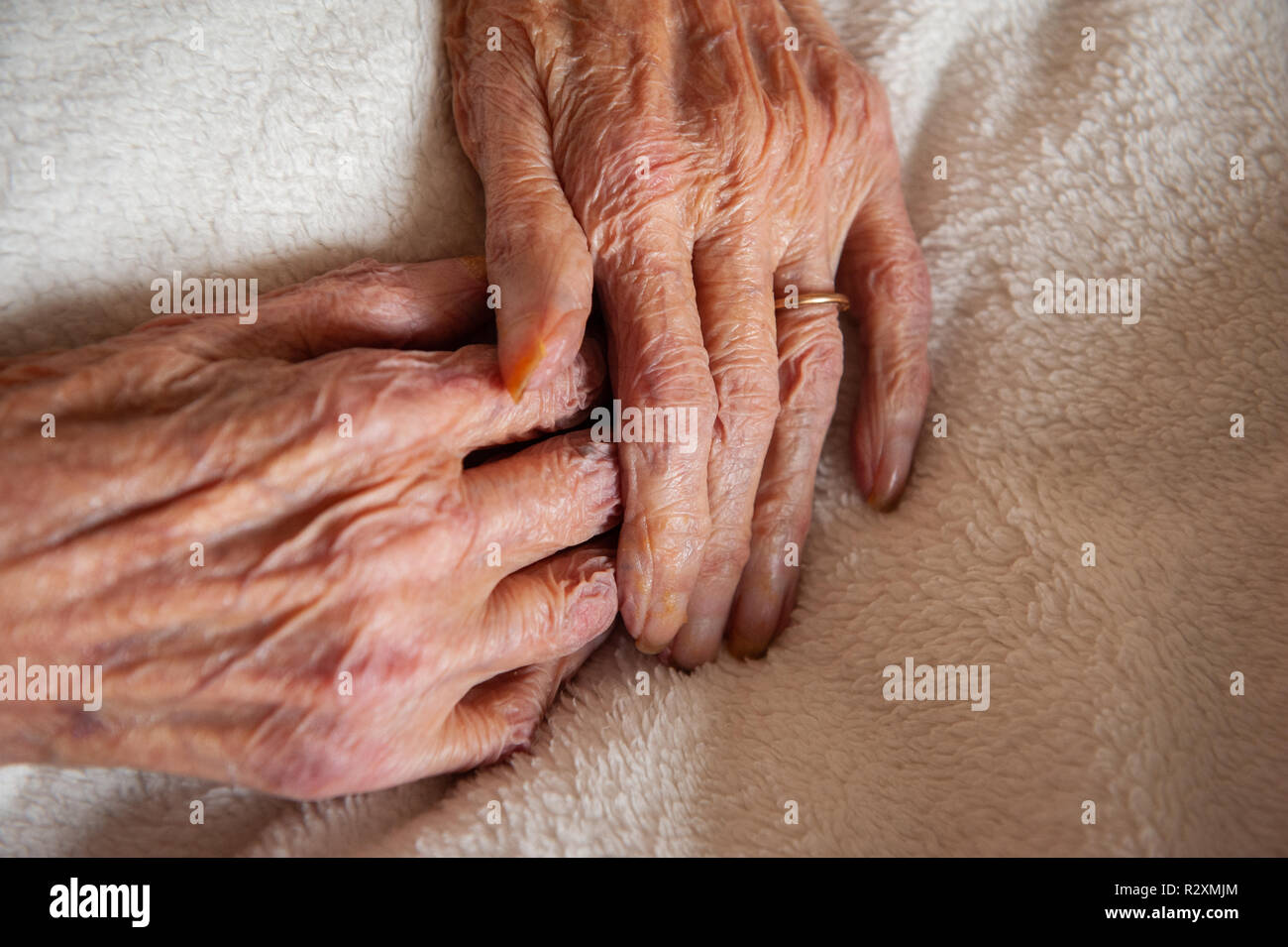 Vecchia Signora con le mani in mano che mostra l'età e l'oro wedding band. Foto Stock