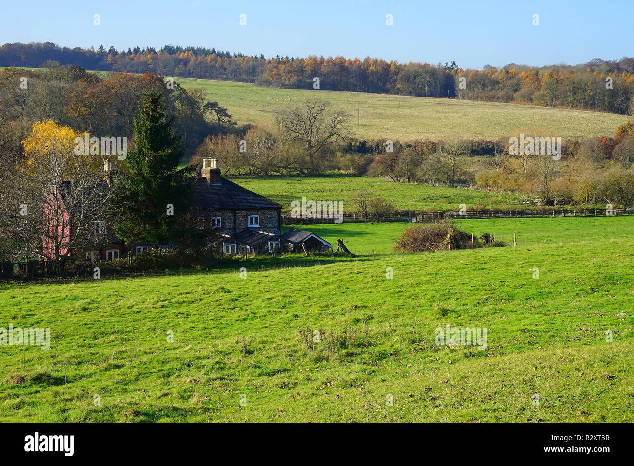 La Valle di scacchi vicino Sarratt Foto Stock