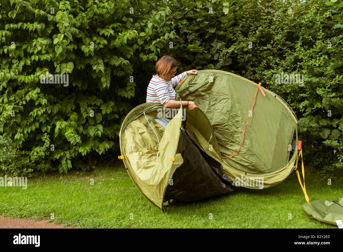 Una donna mettendo un green pop up tenda in un punto al riparo da una siepe alta. Foto Stock