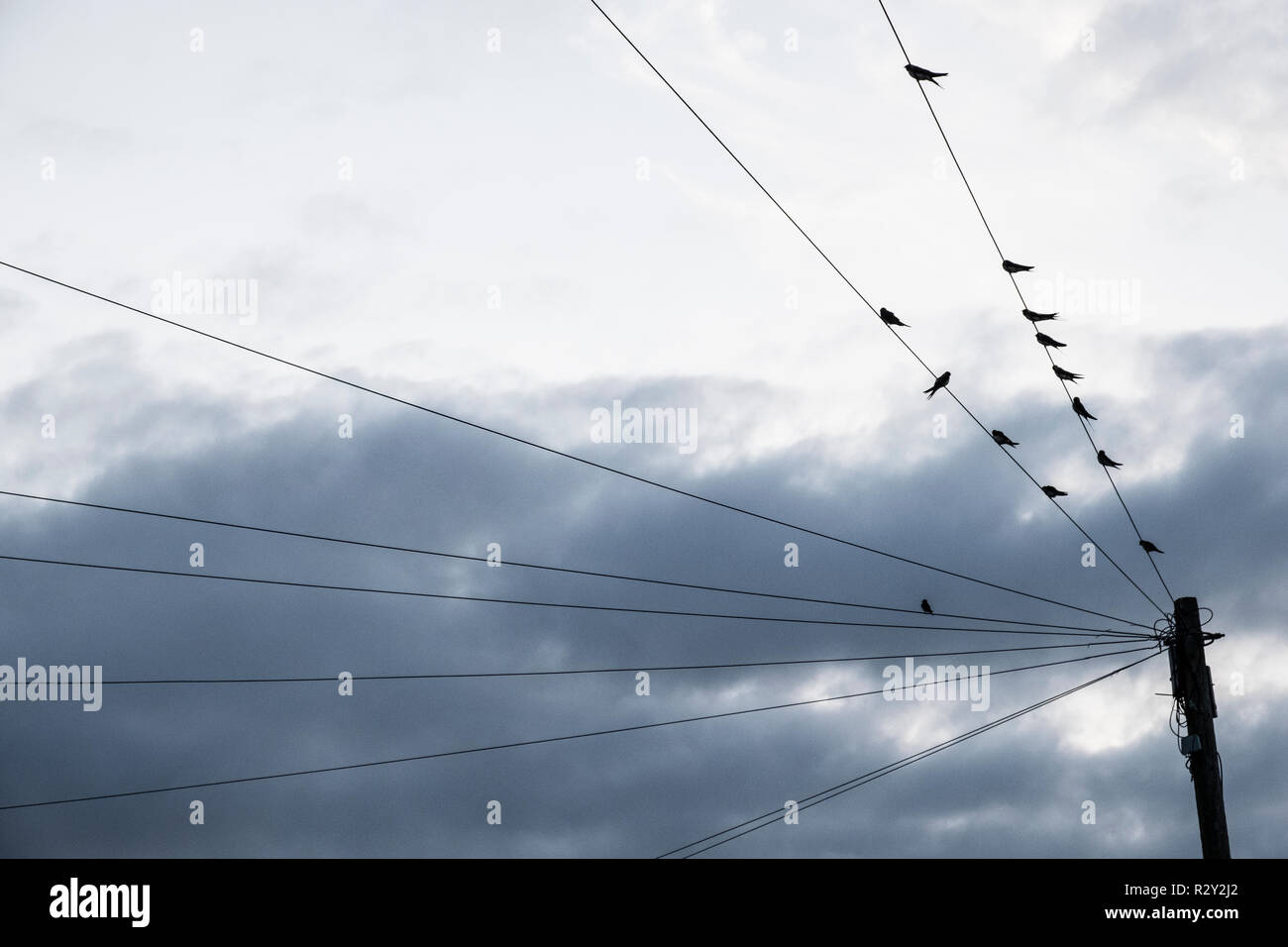 Un moody cielo grigio con cloud più luminose le patch e gli uccelli arroccato su cavi telefonici. Foto Stock