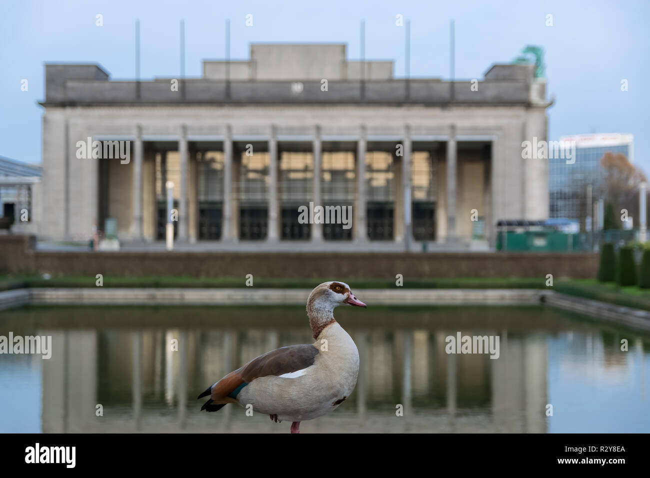 Un oca egiziana in posa davanti l'edificio Expo Foto Stock