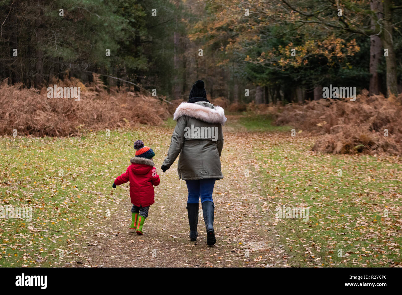 La madre e il figlio a piedi attraverso i boschi di wellies durante l'autunno Foto Stock