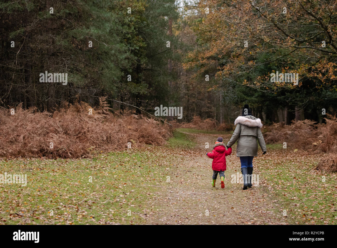 La madre e il figlio a piedi attraverso i boschi di wellies durante l'autunno Foto Stock