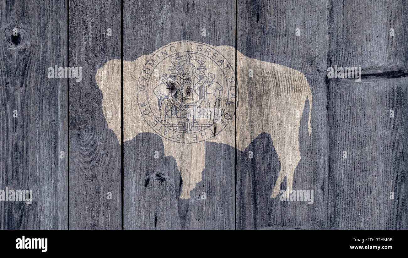 USA la politica News Concept: noi lo stato del Wyoming bandiera recinzione di legno Foto Stock