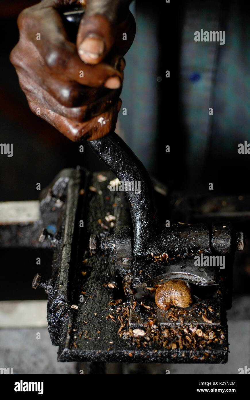 Il Burkina Faso, Banfora , Sotria B Sarl fabbrica per anacardi elaborazione del kernel, peeling di noci di acagiù , il dado strumento di cracking Foto Stock