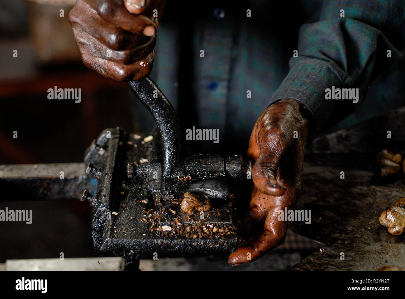 Il Burkina Faso, Banfora , Sotria B Sarl fabbrica per anacardi elaborazione del kernel, peeling di noci di acagiù , il dado strumento di cracking Foto Stock