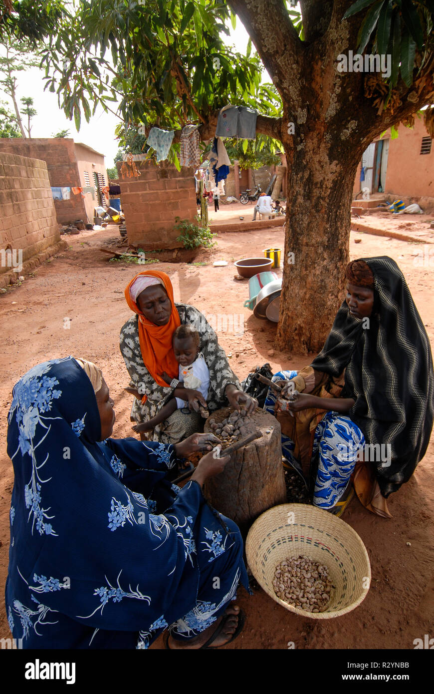 Il Burkina Faso, Banfora, donne processo noci di acagiù, la cottura e la pelatura / Frauen verarbeiten auf traditionelle Weise Kaschunuesse , Nuesse werden per mano gekocht und geschaelt Foto Stock