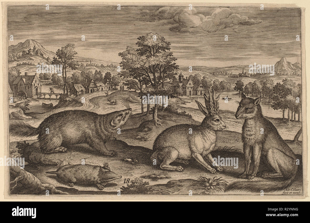 Animalium Quadrupedum. Medium: incisione. Museo: National Gallery of Art di Washington DC. Autore: Adriaen Collaert. Foto Stock