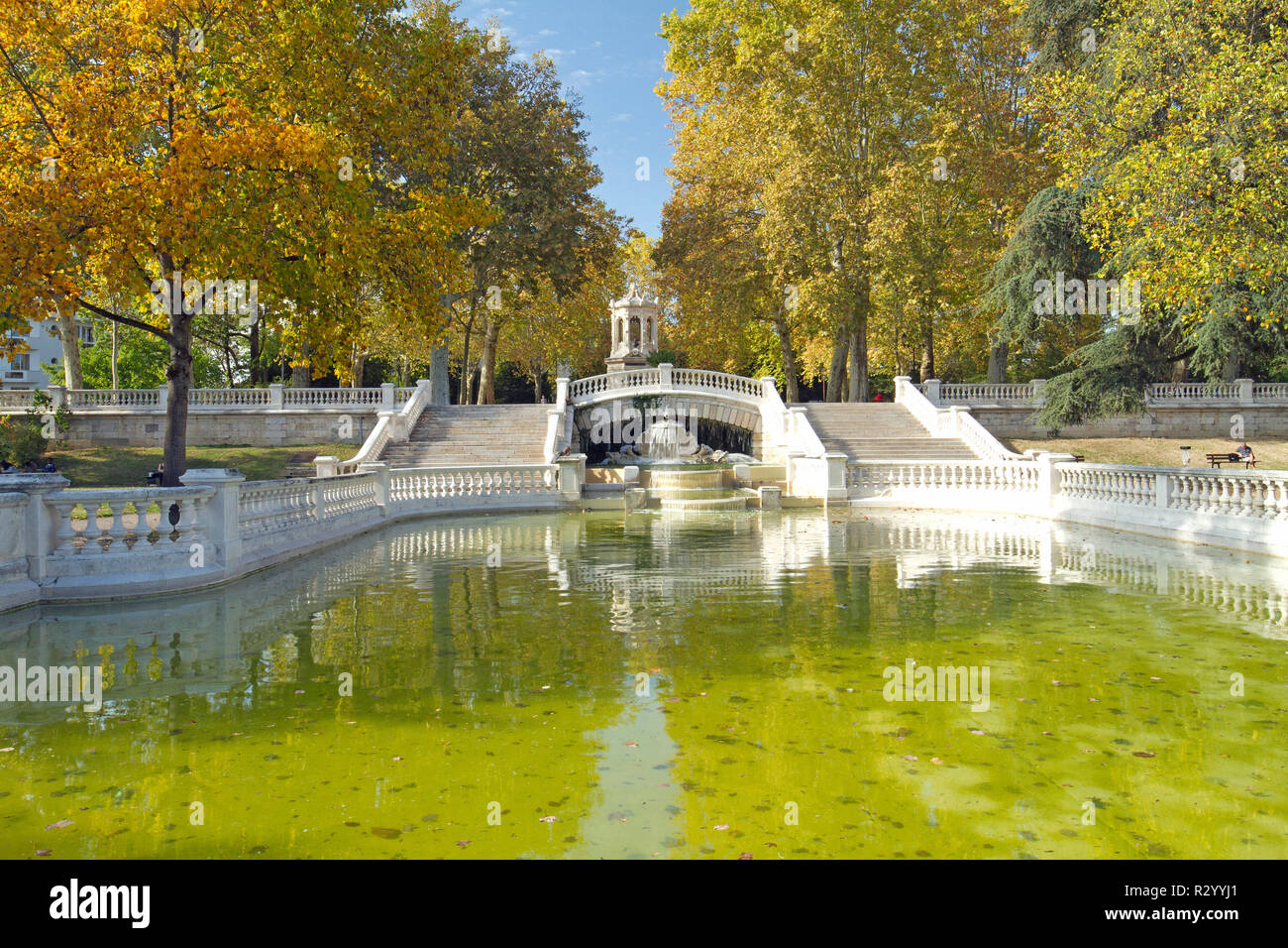 Fontana, stagno e London piano (Platanus x hispanica) nel giardino di Darcy, Dijon, Cote-d'Or, Francia Foto Stock