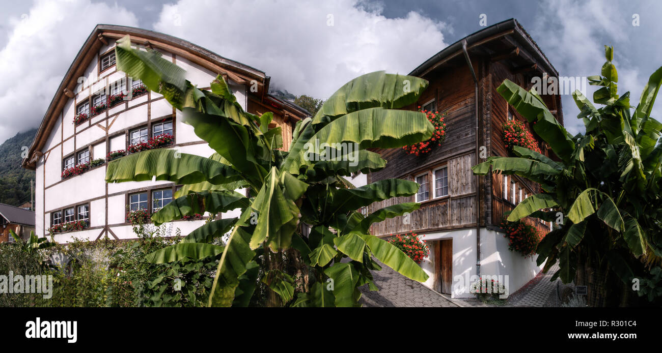 Lakeside case e palme di banane nel microclima subtropicale di Quinten, Alpi Svizzere Foto Stock