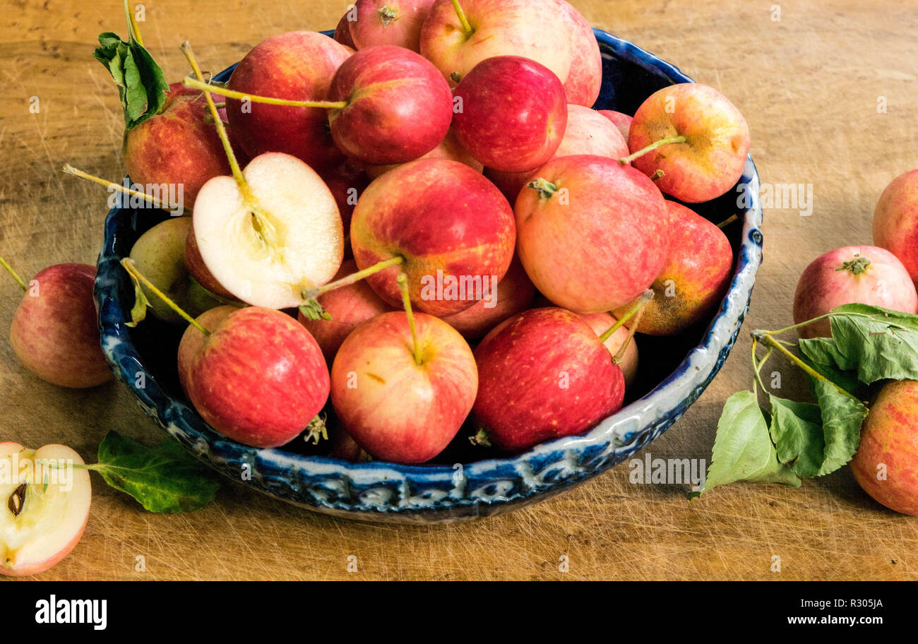 Cibo Foto Stock