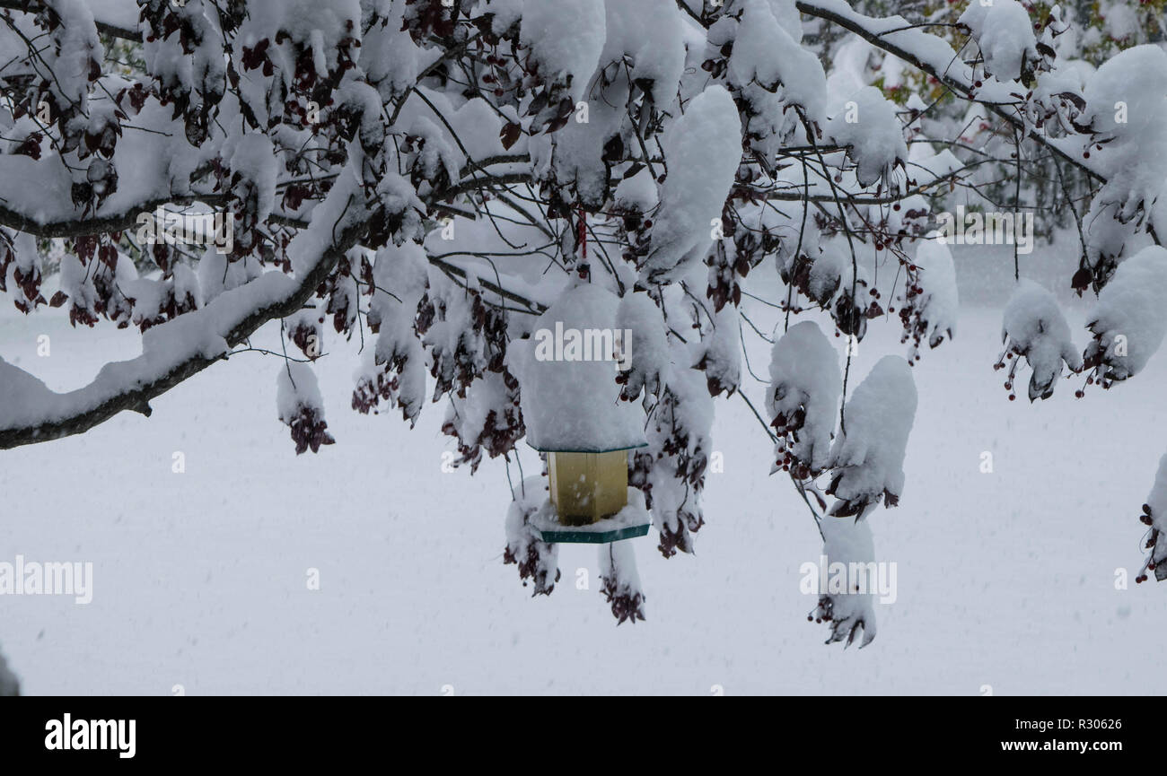 Arrivato primo immagini e fotografie stock ad alta risoluzione - Alamy
