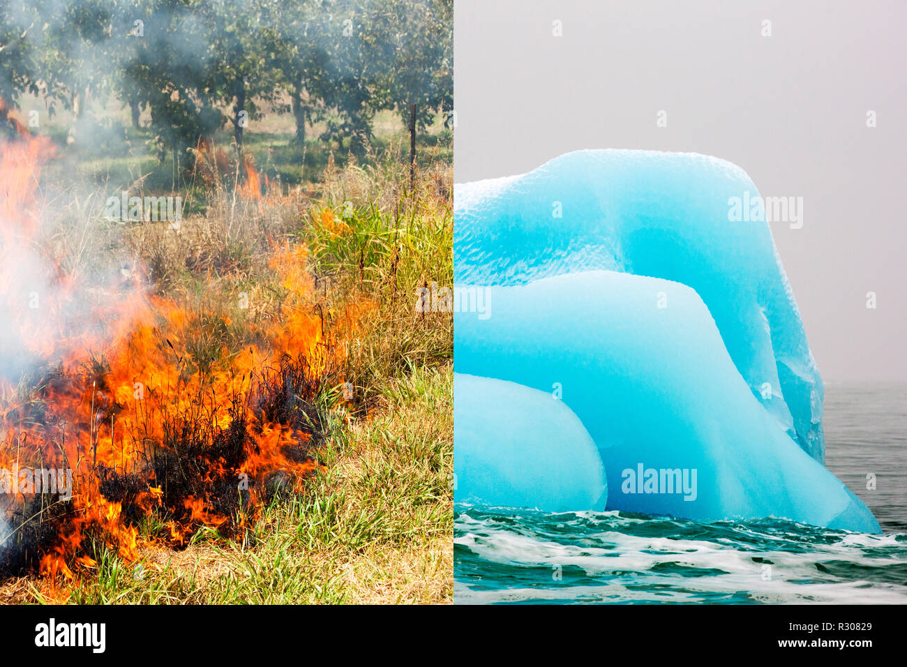 Un composito colpo di incendi boschivi e iceberg. Foto Stock