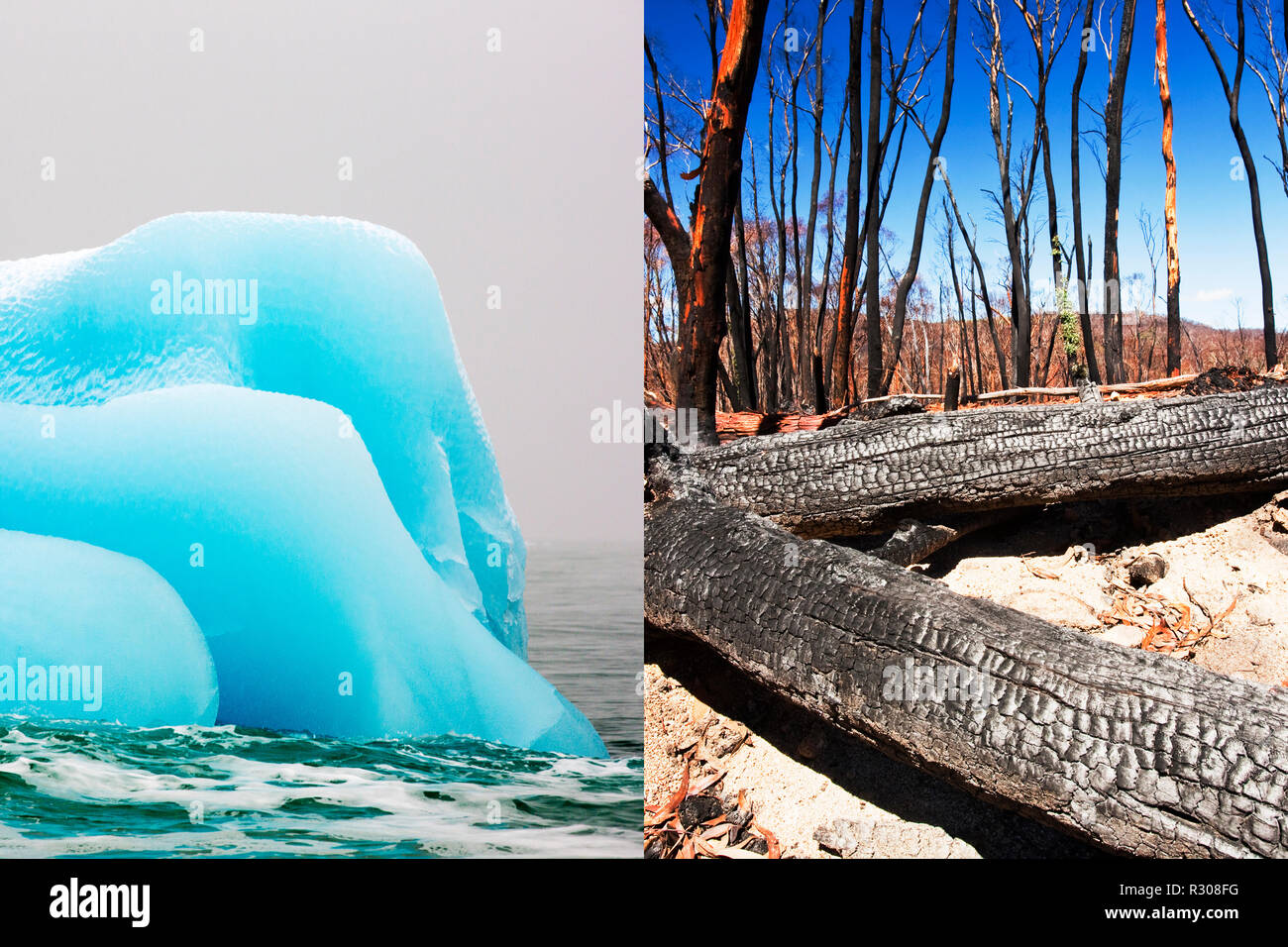 Un composito colpo di incendi boschivi e iceberg. Foto Stock
