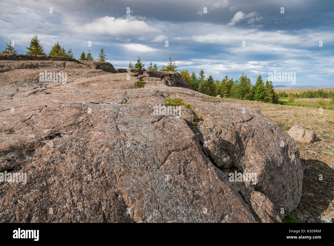 Roche moutonnee -formazione di roccia creato dal passaggio di un ghiacciaio. Il passaggio del ghiacciaio sulla roccia sottostante risulta spesso un strie glaciali, EA Foto Stock