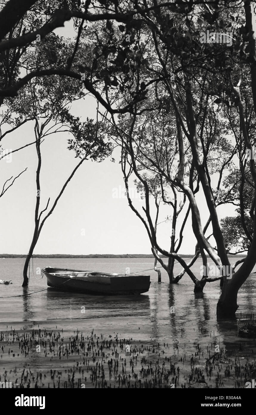 Fern Bay, a nord del braccio Hunter River, Nuovo Galles del Sud, Australia. Versione in bianco e nero Foto Stock