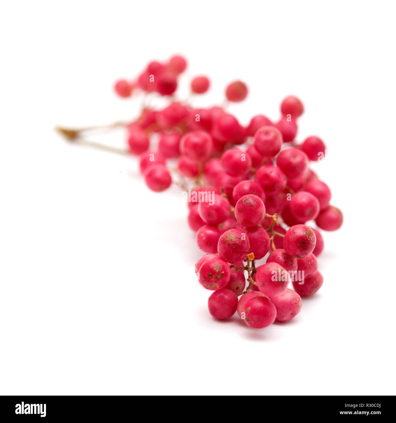 Cluster di grani di pepe rosa, frutto di pepe peruviano tree Schinus molle isolato su bianco Foto Stock