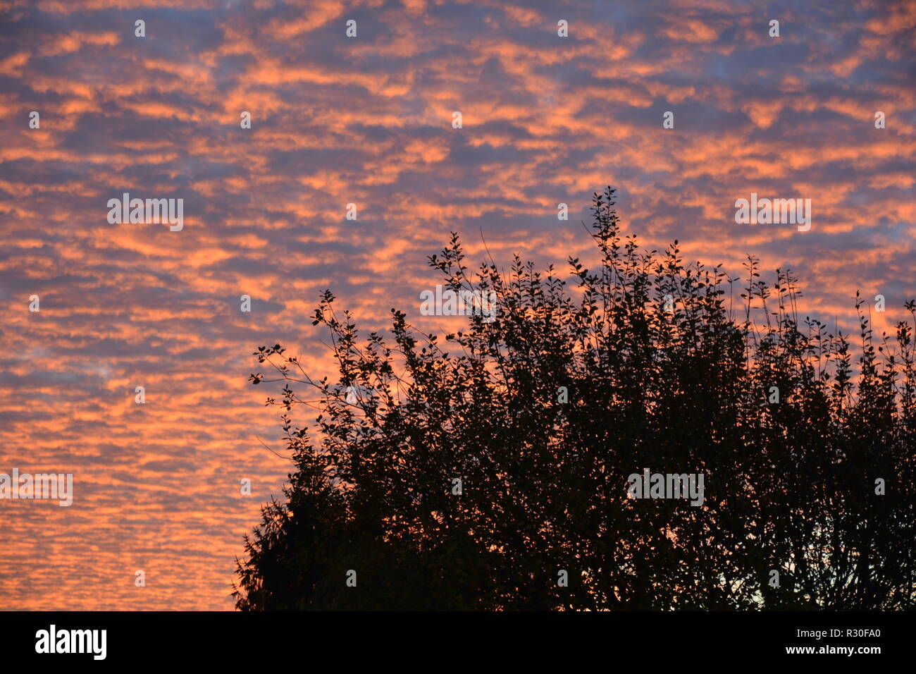 Sonnenaufgang Hintergrund "Abendrot" Foto Stock