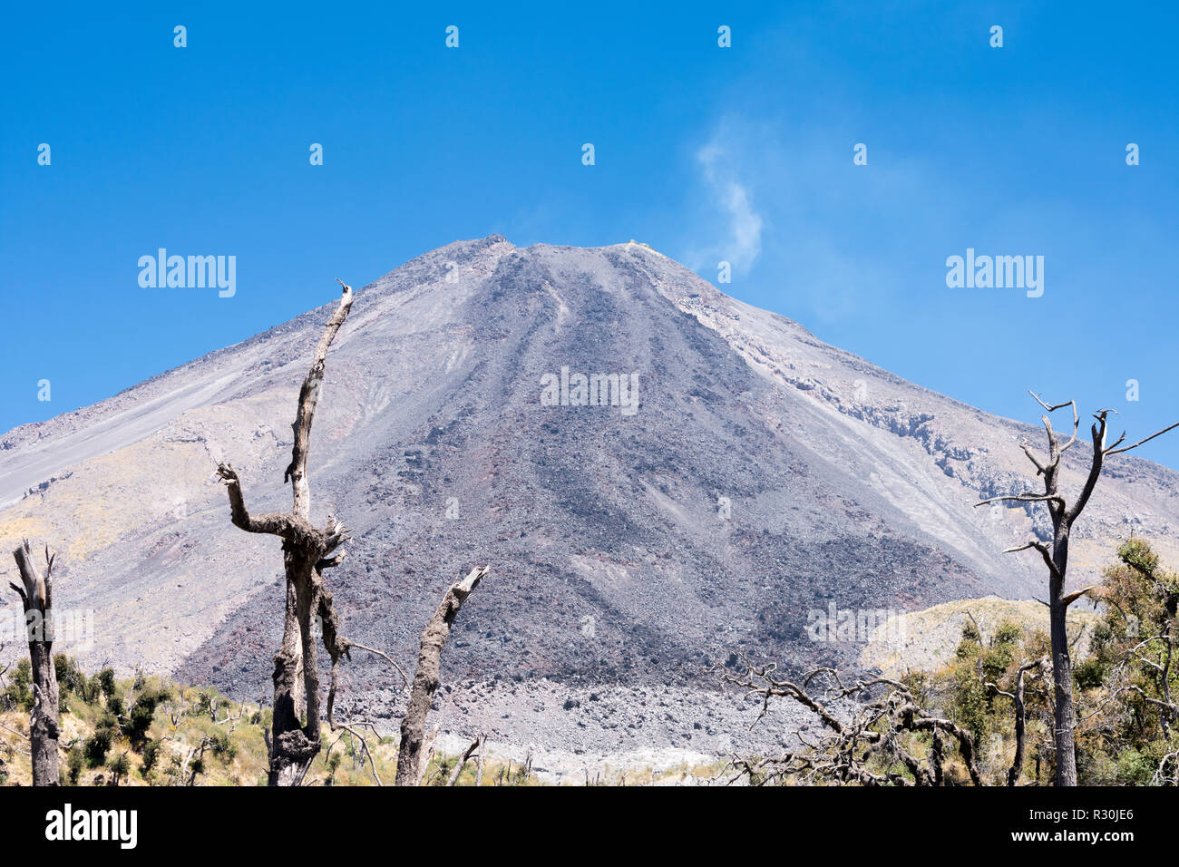 Volcan de Colima/Volcan de Fuego Foto Stock