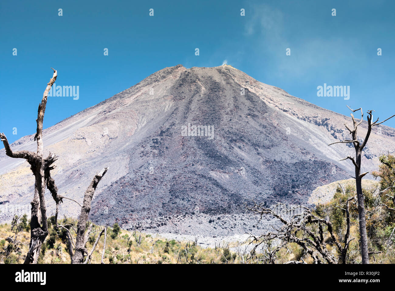 Volcan de Colima/Volcan de Fuego Foto Stock