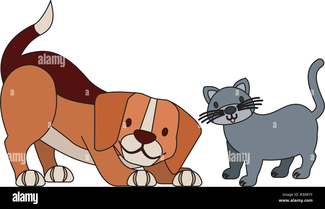 Beagle del cane e del gatto pet shop illustrazione vettoriale Illustrazione Vettoriale