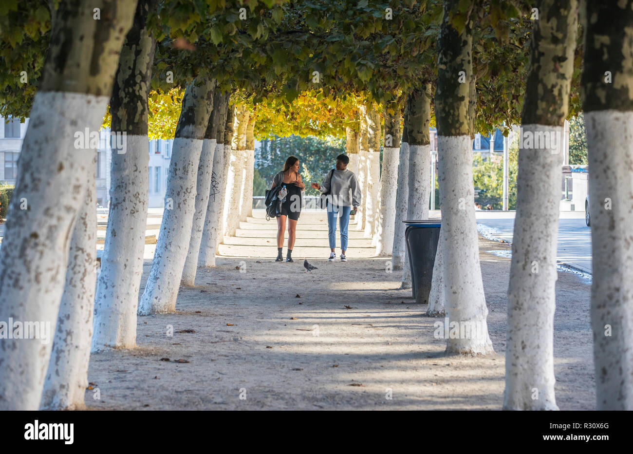 Due giovani donne a piedi in vicolo tree, Mont des Arts di Bruxelles Foto Stock