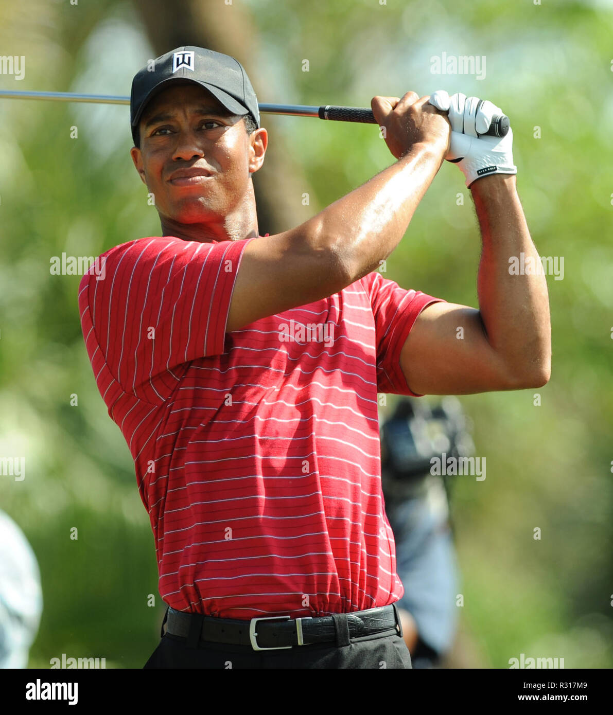 DORAL, FLORIDA - novembre 20: file (foto) l'attesa è finalmente finita. Capital One è il match sarà il primo duello testa a testa tra 14-tempo grande Campione Tiger Woods e il cinque volte campione del principali Phil Mickelson. La posta in gioco è alta, con Tiger e Phil in lizza per il vincitore prende tutto $9 milioni di premio, il venerdì dopo il Ringraziamento, presso l'esclusiva di Shadow Creek Golf Las Vegas Persone: Tiger Woods Foto Stock