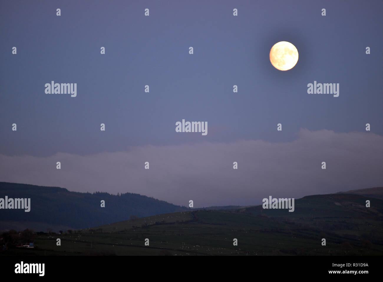 Cambrian Mountains, il Galles. Xxi Nov 2018. Regno Unito - Previsioni del tempo - come la temperatura scende rapidamente verso lo zero in risposta a cielo sereno, un quasi la luna piena sorge sulle colline vicino a Aberystwyth, Wales, Regno Unito - 21-Nov-2018 - John Gilbey/Alamy Live News Foto Stock