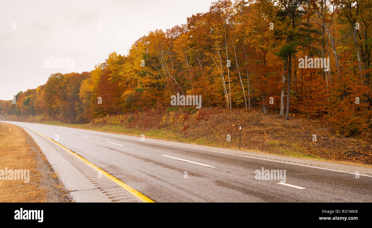 Nessun traffico sul bagnato autostrada fiancheggiata da Autunno a colori in Nuova Inghilterra sulla strada aperta Foto Stock