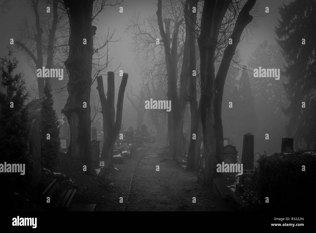 La nebbia in creepy cimitero di Sighisoara, Romania Foto Stock