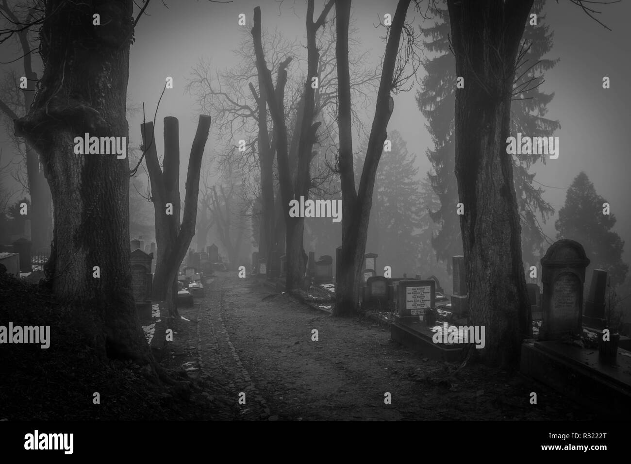 La nebbia in creepy cimitero di Sighisoara, Romania Foto Stock