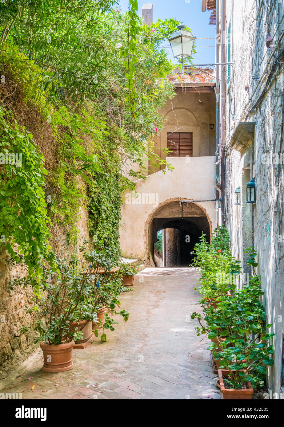 Porto Ercole, a Monte Argentario, nella regione italiana della Toscana. Foto Stock