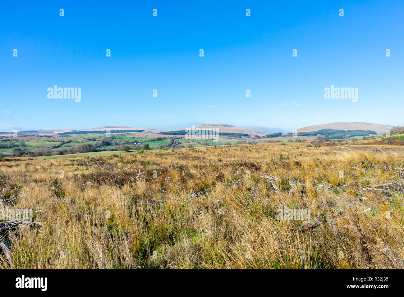 Paesaggio gallese e soleggiato giorno vicino Ystradfellte nel Parco Nazionale di Brecon Beacons, Powys, Wales, Regno Unito Foto Stock