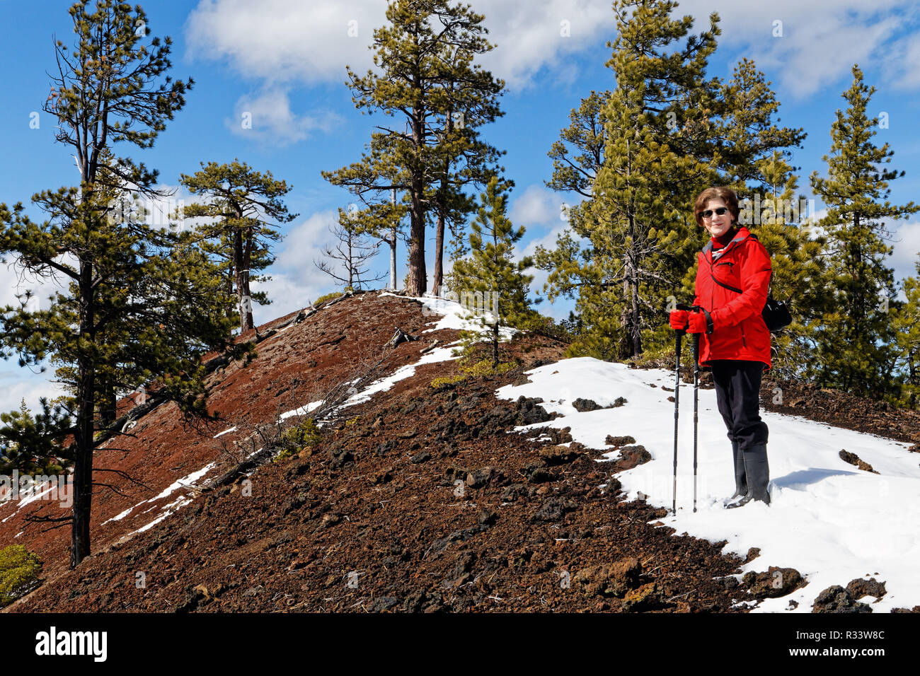 Donna 42,835.02096 escursionismo Alto di ripida Red & Black cono di scorie, Ponderosa pine trees (Pinus ponderosa), morto log lieve neve, cielo blu bianco delle nuvole Foto Stock