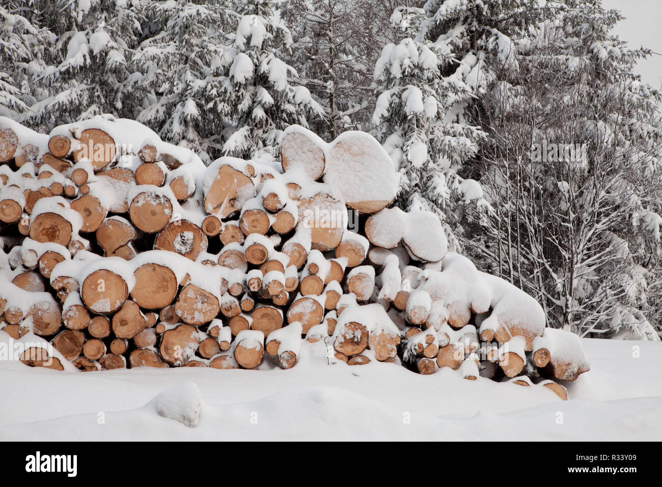 Lumberyard in inverno la neve Foto Stock