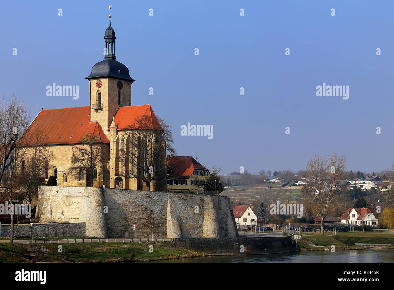 Regiswindiskirche sul fiume Neckar in lauffen Foto Stock