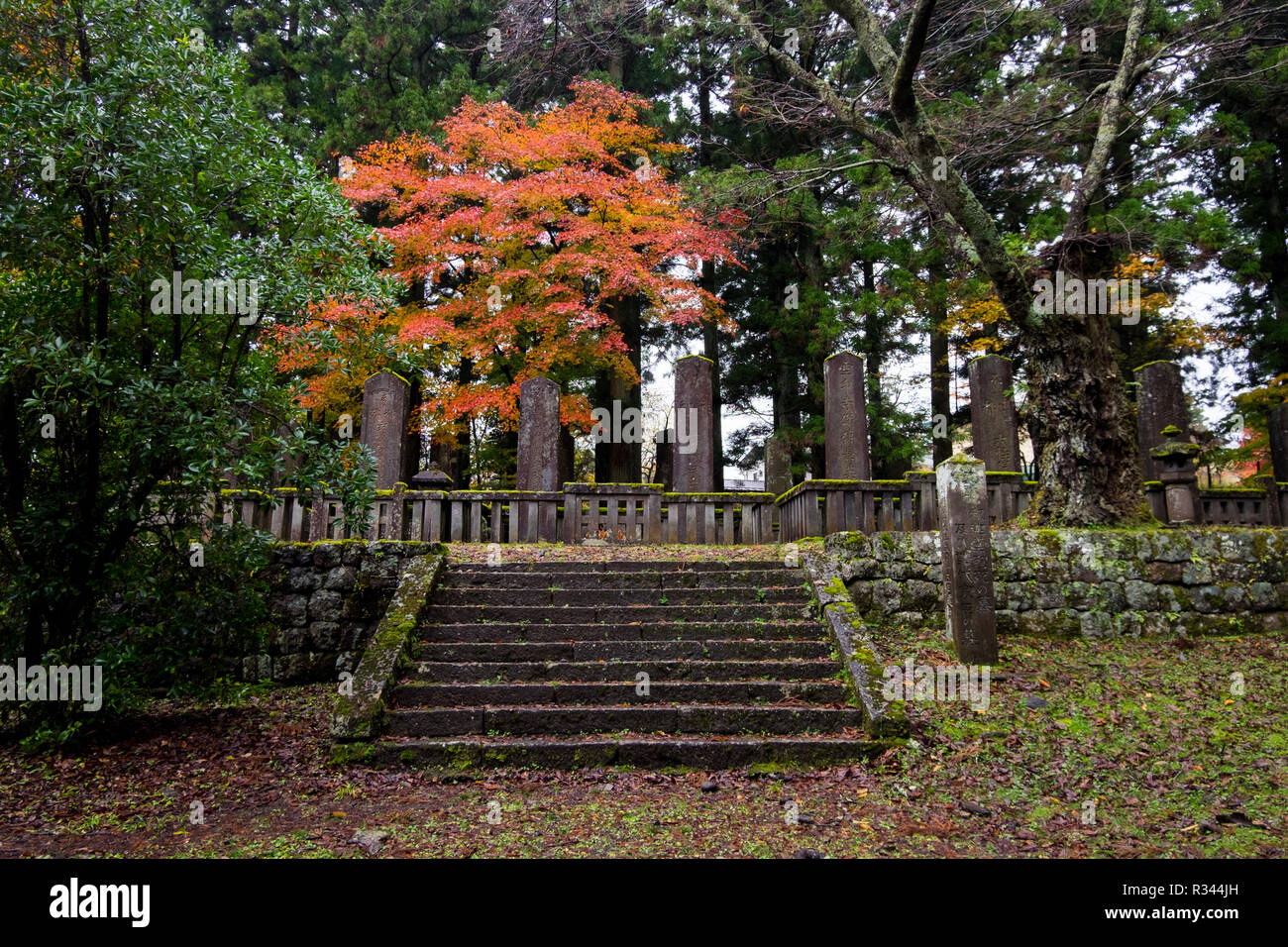 Un bel colore arancione colore rientrano nella parte anteriore dei marcatori di pietra al Tobiishi Hachiman santuario di Nikko, Giappone. Foto Stock
