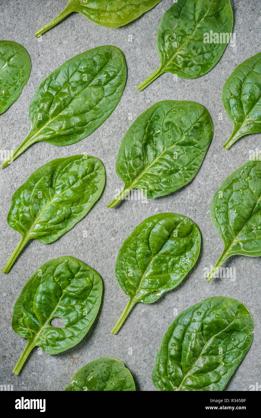 Piatto di laici organico umido e foglie di spinaci Foto Stock