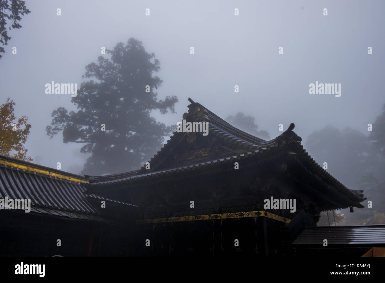 I dettagli architettonici e autunno a colori nella nebbia a Toshogu in Nikko, Giappone. Foto Stock