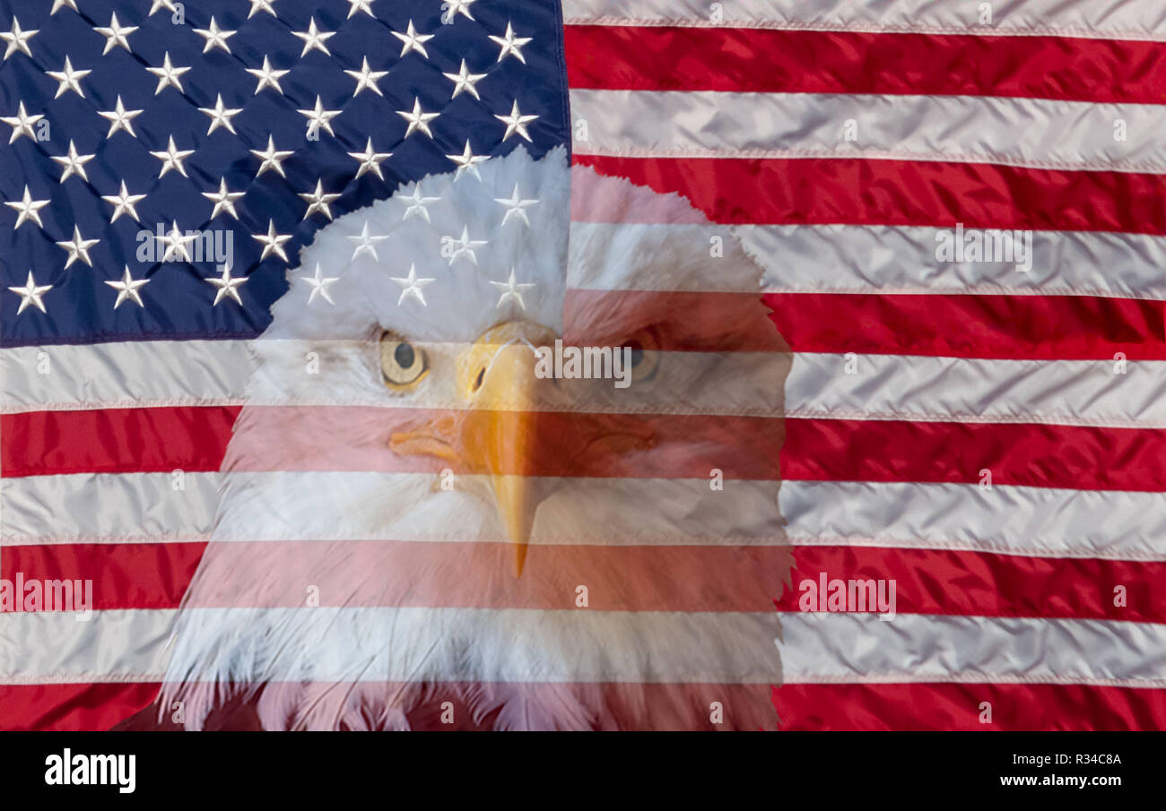 Sempre vigile bandiera americana e aquila calva simboli della libertà e della libertà Foto Stock