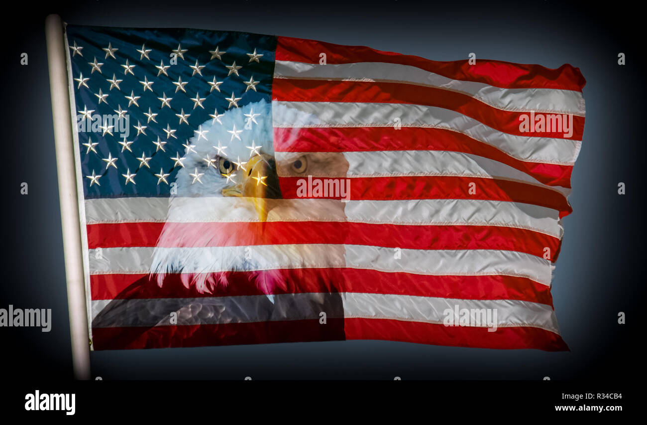 Sempre vigile bandiera americana e aquila calva simboli della libertà e della libertà di spazio di copia Foto Stock